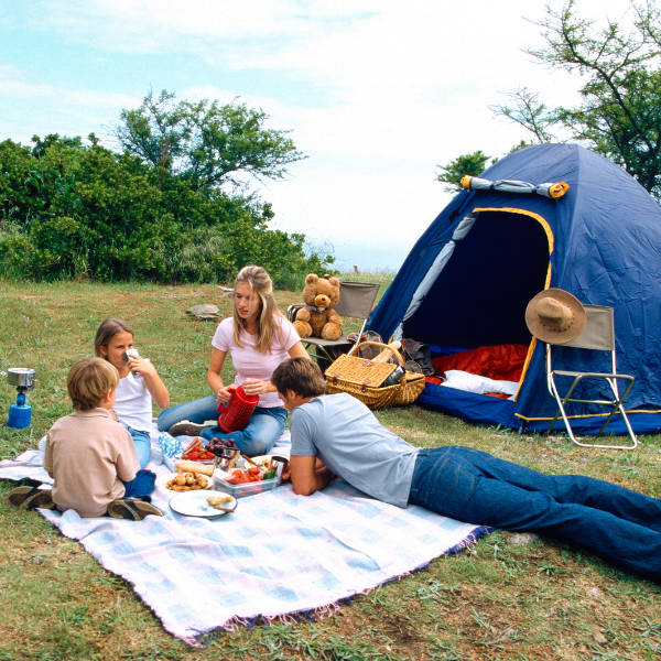Camping & Picnic