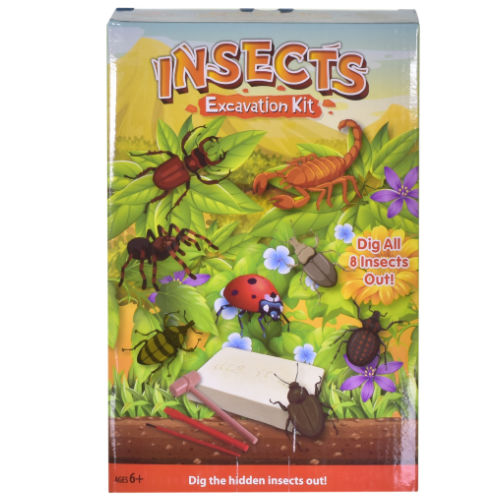 Insects Excavation Kit
