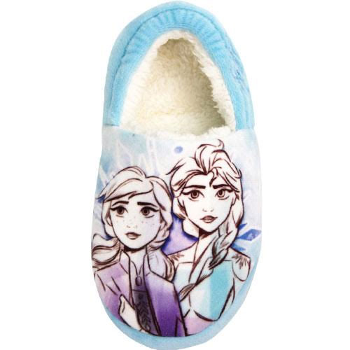 frozen ballet slippers