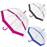 Ladies Clear Dome Umbrella With Coloured Trim