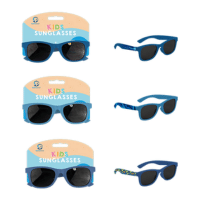 Boys Mixed Design Sunglasses