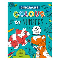 Dinosaur Colour By Numbers Book