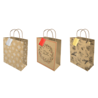 Large Foiled Christmas Kraft Gift Bag