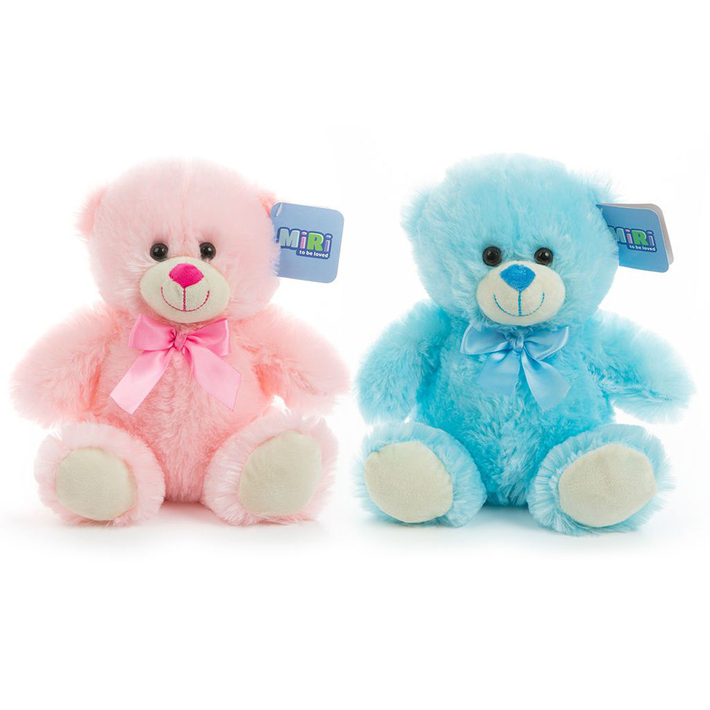 Pink And Blue Teddy Bear