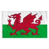 Wales Flag 5x3 FT