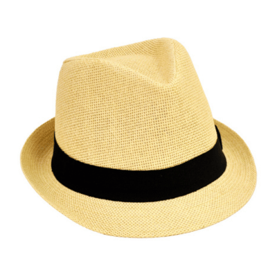 Mens Best Trilby Hat