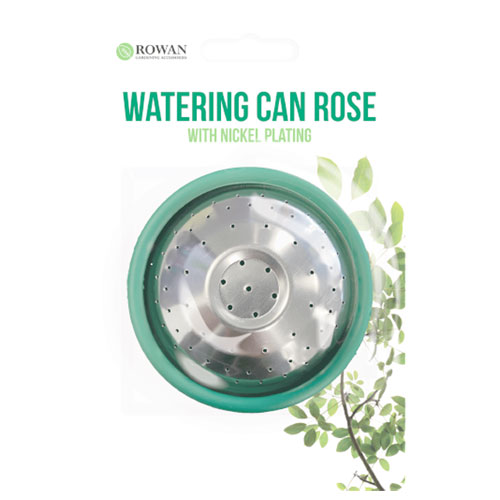 Watering Can Rose 1 Pack
