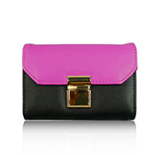 Ladies Small Contrast Purse With Gold Buckle Fuchsia