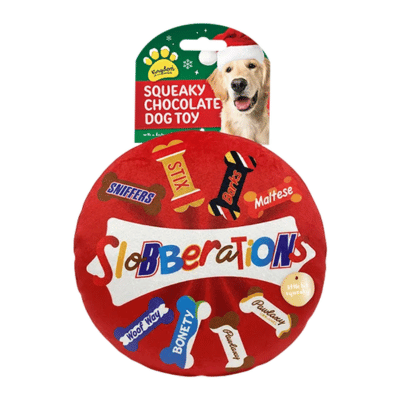 Christmas Chocolate Box Squeaky Dog Toy