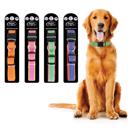 Wholesale Pet Accessories Wholesale Dog Collar A&K Hosiery Cheap
