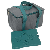 5 Litre Cool Bag with Ice Pack