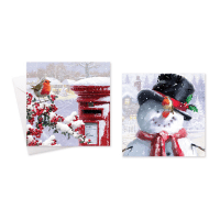 Robin And Snowman Christmas Cards 10 Pack