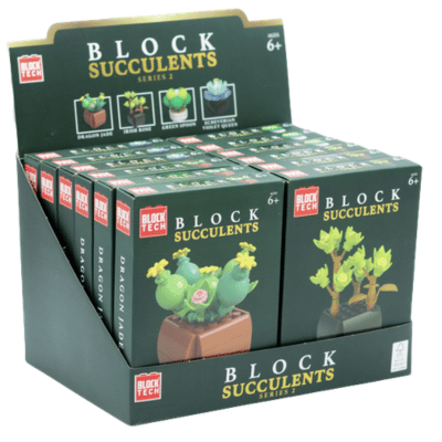 Block Tech Build In Bloom Succulent Plants