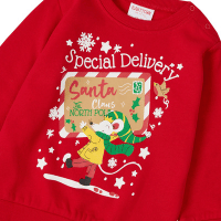 Babies Printed Fleece Christmas Design Jumper