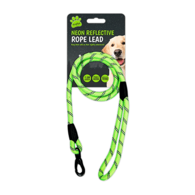 Bright Neon Reflective Dog Lead
