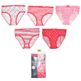 Girls 5 Pack Briefs In Polybag Pink Mix