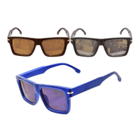 Adults Wayfarer Sunglasses With Chunky Frame