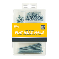 Assorted Flat Head Nails