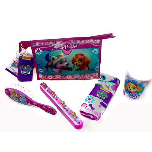 paw patrol skye bathroom set