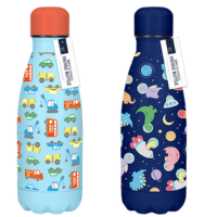 Boys Printed Metal Drinks Bottle 350ml