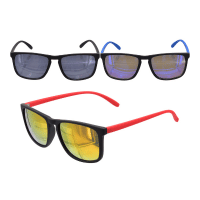 Adults Wayfarer Sunglasses With Coloured Lenses And Arms