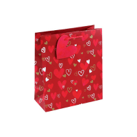Heart Design Medium Gift Bag